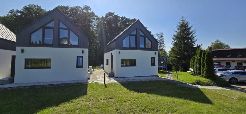 Dwa domki nad Strugą Bychowską - widok od strony ogrodu